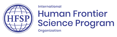 Human Frontier Science Program Postdoctoral Fellowships 2023-2024