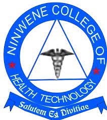 Ndolage Institute of Health Sciences Student Portal